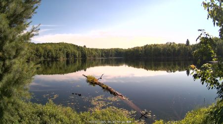 Image from 2025-07-07