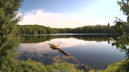 Image from 2025-07-07