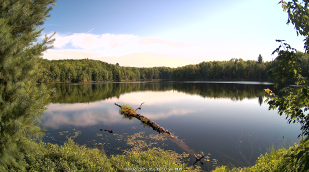 Image from 2025-07-07