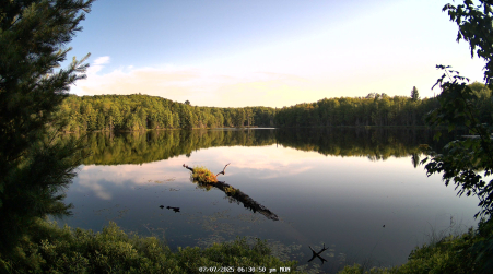 Image from 2025-07-07