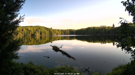 Image from 2025-07-07
