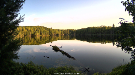 Image from 2025-07-07