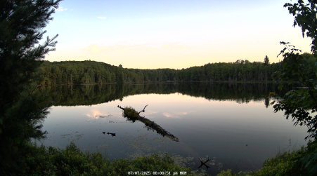 Image from 2025-07-07