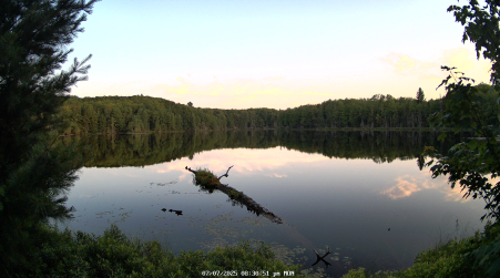 Image from 2025-07-07