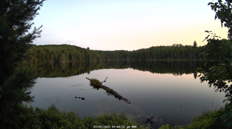 Image from 2025-07-07