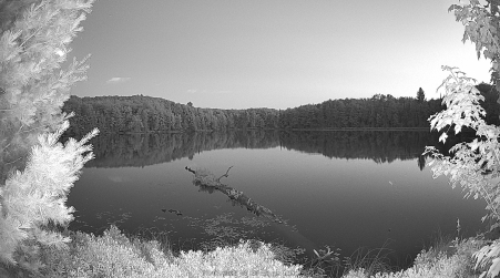Image from 2025-07-07