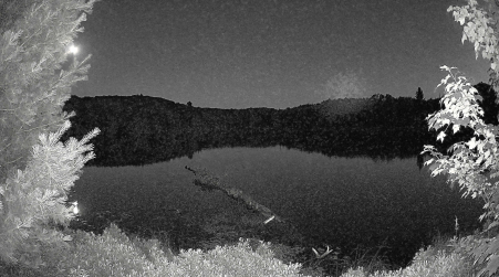 Image from 2025-07-07
