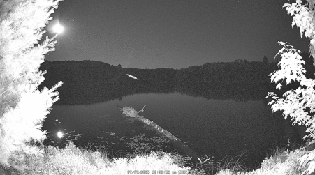 Image from 2025-07-07