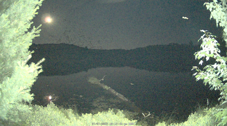 Image from 2025-07-07