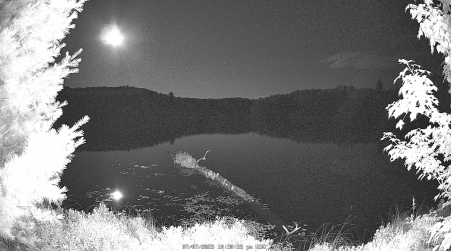 Image from 2025-07-07