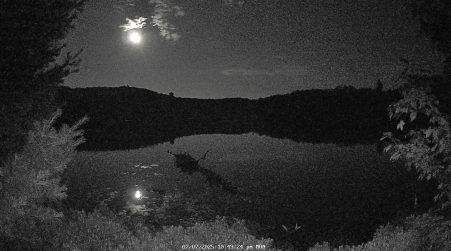 Image from 2025-07-07