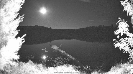 Image from 2025-07-07