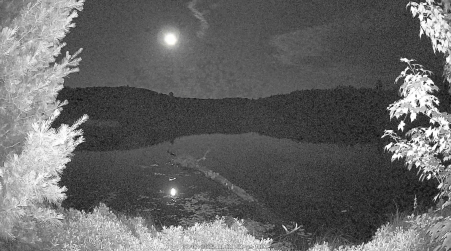 Image from 2025-07-07