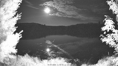 Image from 2025-07-07