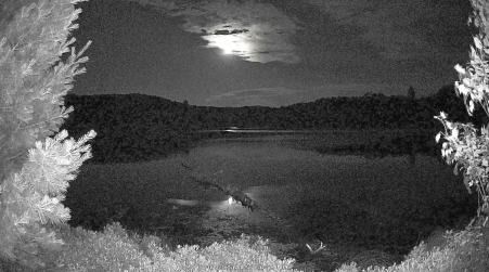 Image from 2025-07-07