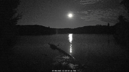 Image from 2025-07-08