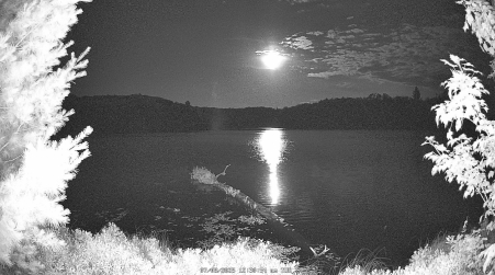 Image from 2025-07-08