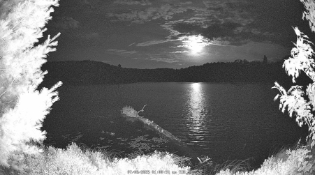Image from 2025-07-08