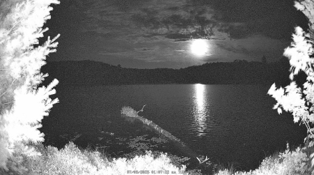 Image from 2025-07-08