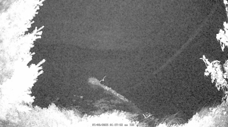 Image from 2025-07-08