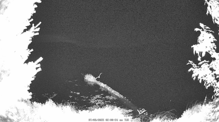 Image from 2025-07-08