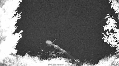 Image from 2025-07-08