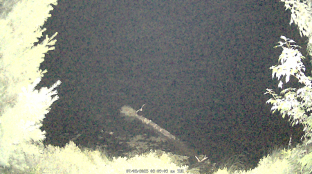 Image from 2025-07-08
