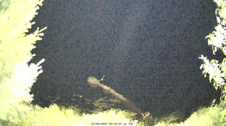 Image from 2025-07-08