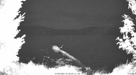Image from 2025-07-08