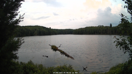 Image from 2025-07-08