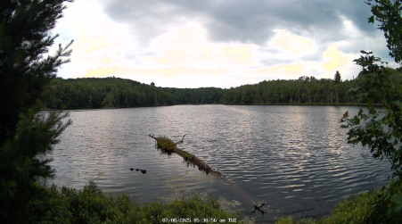 Image from 2025-07-08