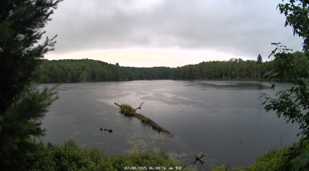 Image from 2025-07-08