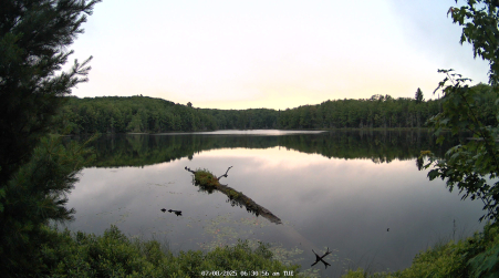 Image from 2025-07-08