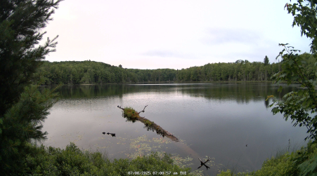 Image from 2025-07-08