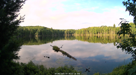Image from 2025-07-08