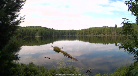 Image from 2025-07-08