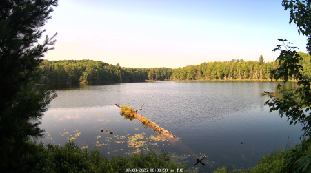 Image from 2025-07-08