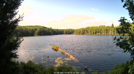 Image from 2025-07-08