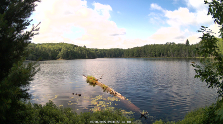 Image from 2025-07-08