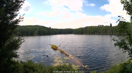 Image from 2025-07-08