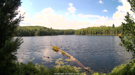 Image from 2025-07-08