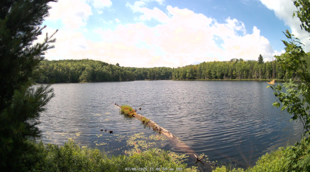Image from 2025-07-08