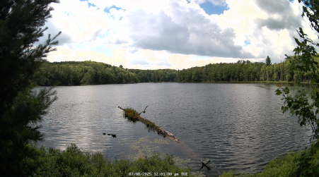 Image from 2025-07-08
