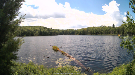 Image from 2025-07-08