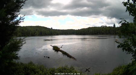 Image from 2025-07-08