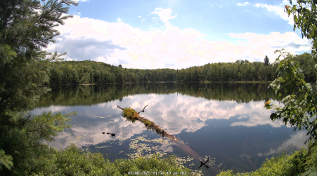 Image from 2025-07-08