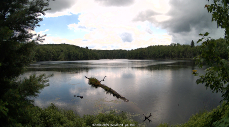 Image from 2025-07-08
