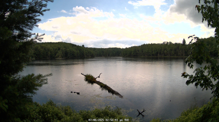 Image from 2025-07-08