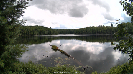 Image from 2025-07-08