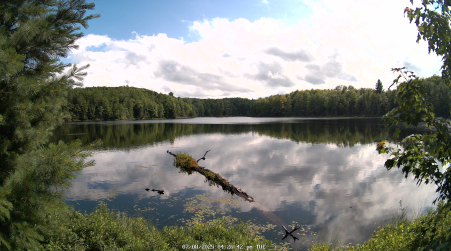 Image from 2025-07-08